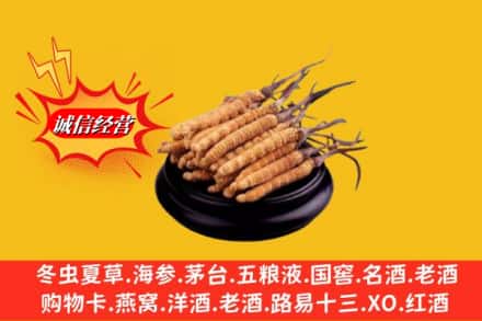 秀山县名酒回收冬虫夏草.jpg